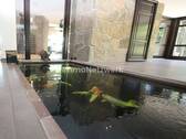 16_Koibecken - 