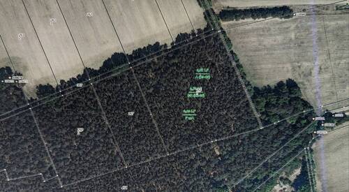 Wald - Verkauf eines Waldgrundstücks mit zusätzlichem Ackerlandangebot