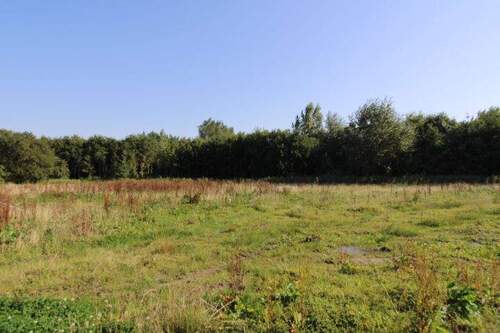 IMG_2596 - Baugrundstück mit Südausrichtung in Butjadingen-Eckwarden