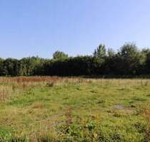 Baugrundstück mit Südausrichtung in Butjadingen-Eckwarden - Butjadingen / Eckwarden Stollhamm