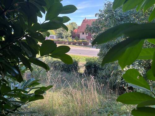 Unterer Teil Garten - 