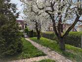 PXL_20250415_124627703 - 