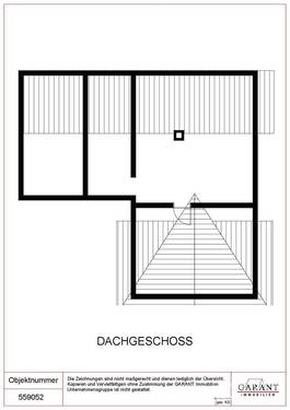 DG - 