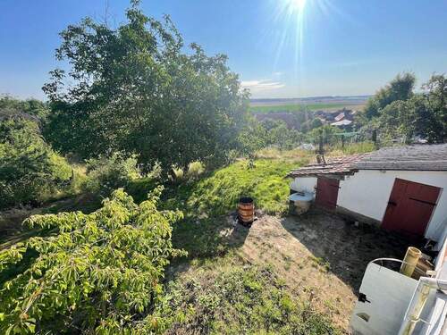 004020156800_302_328_03092024082927420 - 