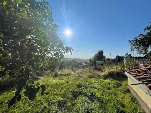 004020156800_302_328_03092024082913110 - 