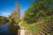 DSC05472 - 