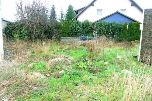 Bild 4 - Grundstück in Krostitz zum Kaufen