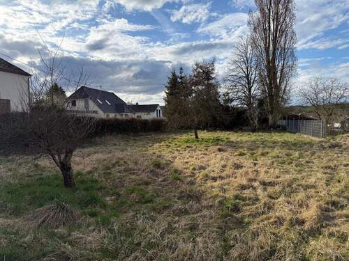 Grundstück - 5 Zimmer Einfamilienhaus in Welschbillig