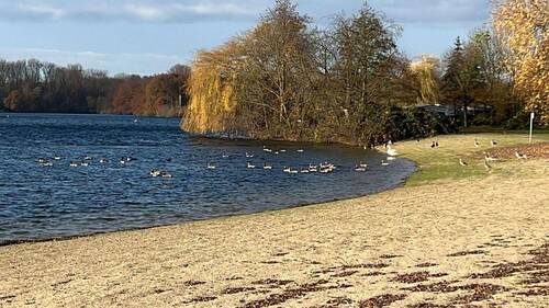 Unterbacher See - 