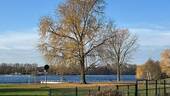 Unterbacher See - 
