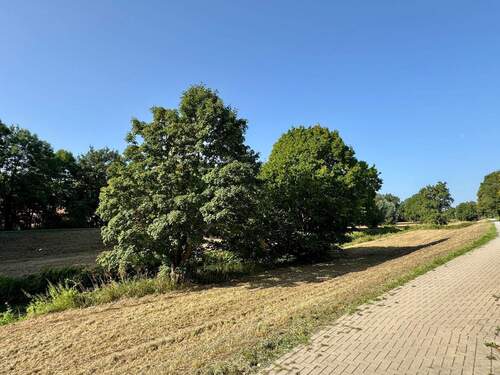 Aueufer - 