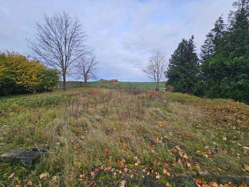 Grundstück - Halle in Grimma