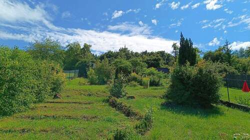 Gartenimpressionen 1 - 