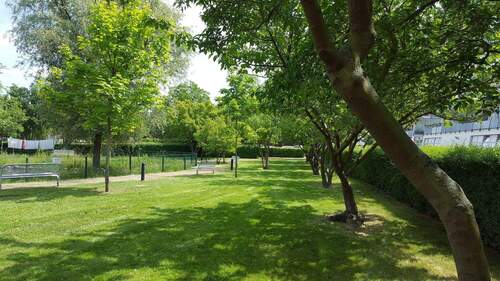 Gepflegte Gartenanlage - 