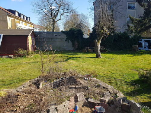 Bild 19 - 