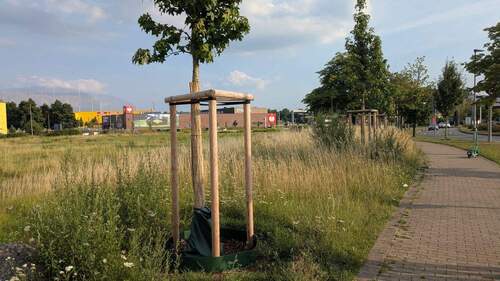 Standpunkt Nordwest_Blickrichtung nach Süd.jpeg - 