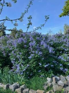 EF3CF804-D0F5-4BCE-8ECF-241619362F2F_1_105_c - 