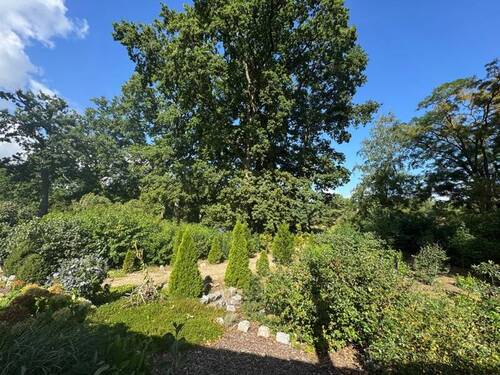 WhatsApp Image 2025-08-26 at 12.28.58 (5) - 