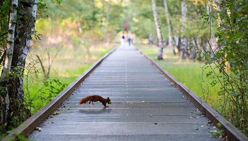 Umgebung_Naturpark-Südgelände - 