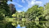 Umgebung_Stadtpark Steglitz - 