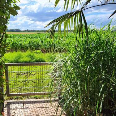 Gartentor zum Feld - 