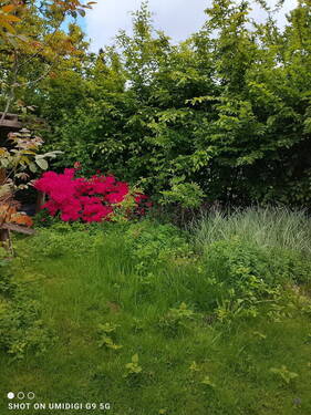 Garten - 
