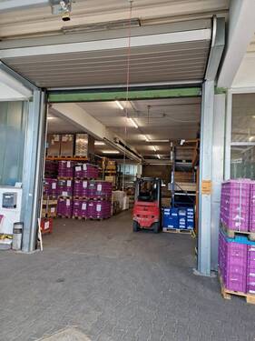Rolltor Halle 1 / Laderampe - 