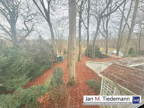 Blick in den Garten - 