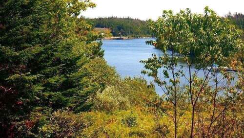 Unterer Bereich Grundstück - 