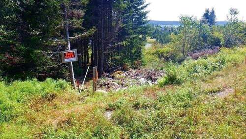 Linke Grundstücksgrenze Straße - 