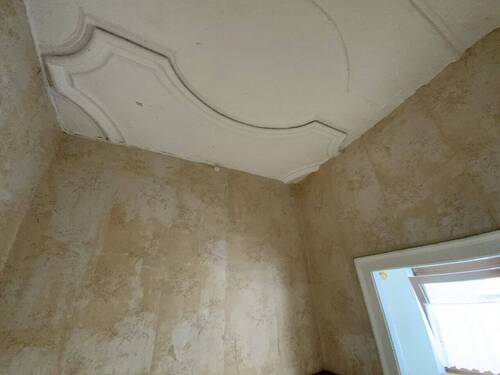Historische Stuckarbeiten (Wände müssen beseitigt werden) - 