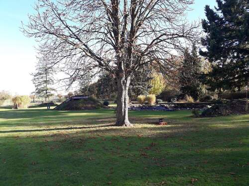 Bild 4 - Mehrfamilienhaus, Wohnhaus mit 232,00 m&sup2; in Buchholz (Aller) zum Kaufen