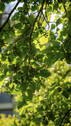 Bild 7 - 