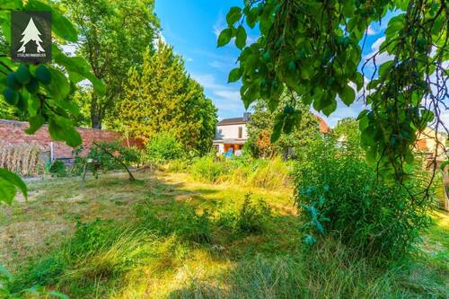 Grundstück - Einfamilienhaus mit 140,00 m&sup2; in Görzig zum Kaufen