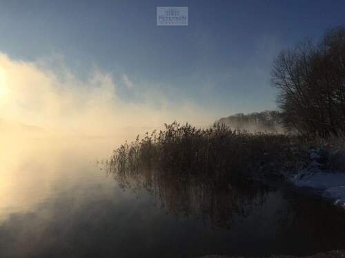 Umgebung - Nebel - Natur pur! Einzigartige Doppelhaushälfte auf parkähnlichem Grundstück
