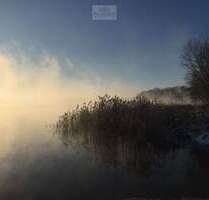 Natur pur! Einzigartige Doppelhaushälfte auf parkähnlichem Grundstück - Mucheln