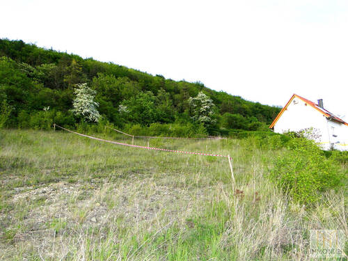 Blick ins Grüne - Grundstück in Blankenhain