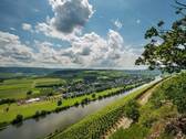 brauneberg-01 - 