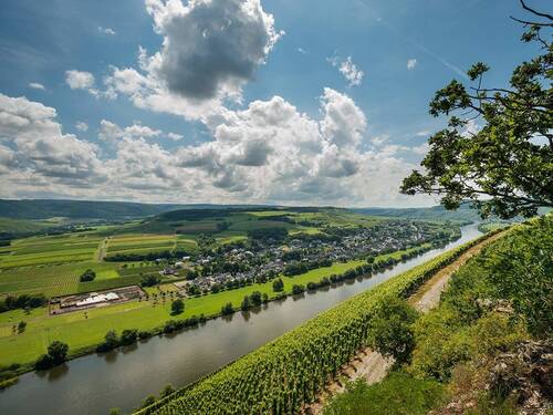 brauneberg-01 - Mehrfamilienhaus, Wohnhaus mit 200,00 m&sup2; in Brauneberg zum Kaufen
