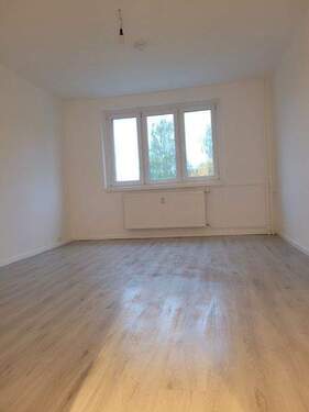 Zimmer 3 - 