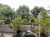 Loggia - 