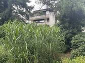Gemeinschaftsgarten - 