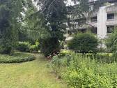Gemeinschaftsgarten - 