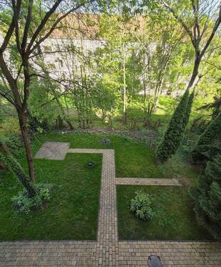 20250429_164803.jpg - 