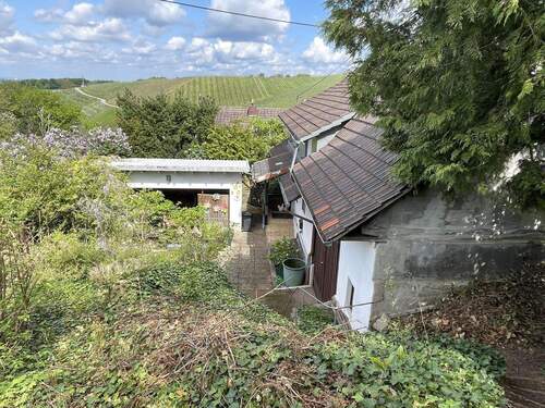 Ausblick auf die Weinberge ... und noch weiter! - 