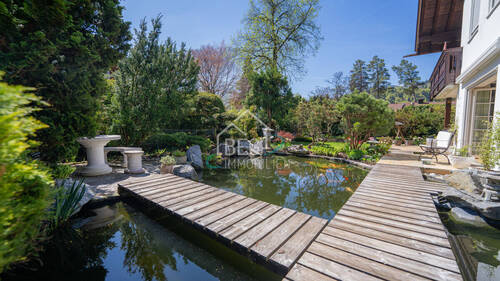 Teich - 