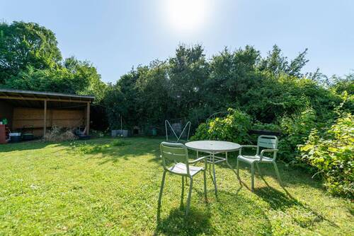 Garten_4.jpg - 