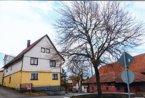 Hausansicht mit Dorflinde - 9 Zimmer Mehrfamilienhaus, Wohnhaus in Beinerstadt