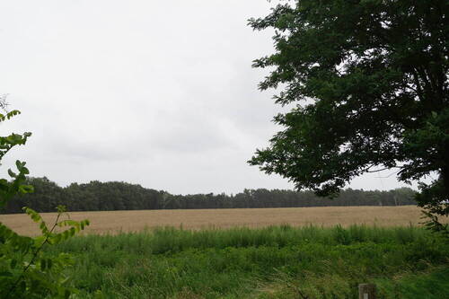 Umgebung - 