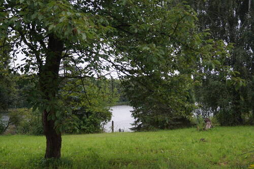Grundstück - Grundstück in Mittenwalde / OT Schenkendorf-Krummensee